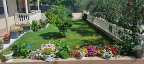 Apartmani Italo